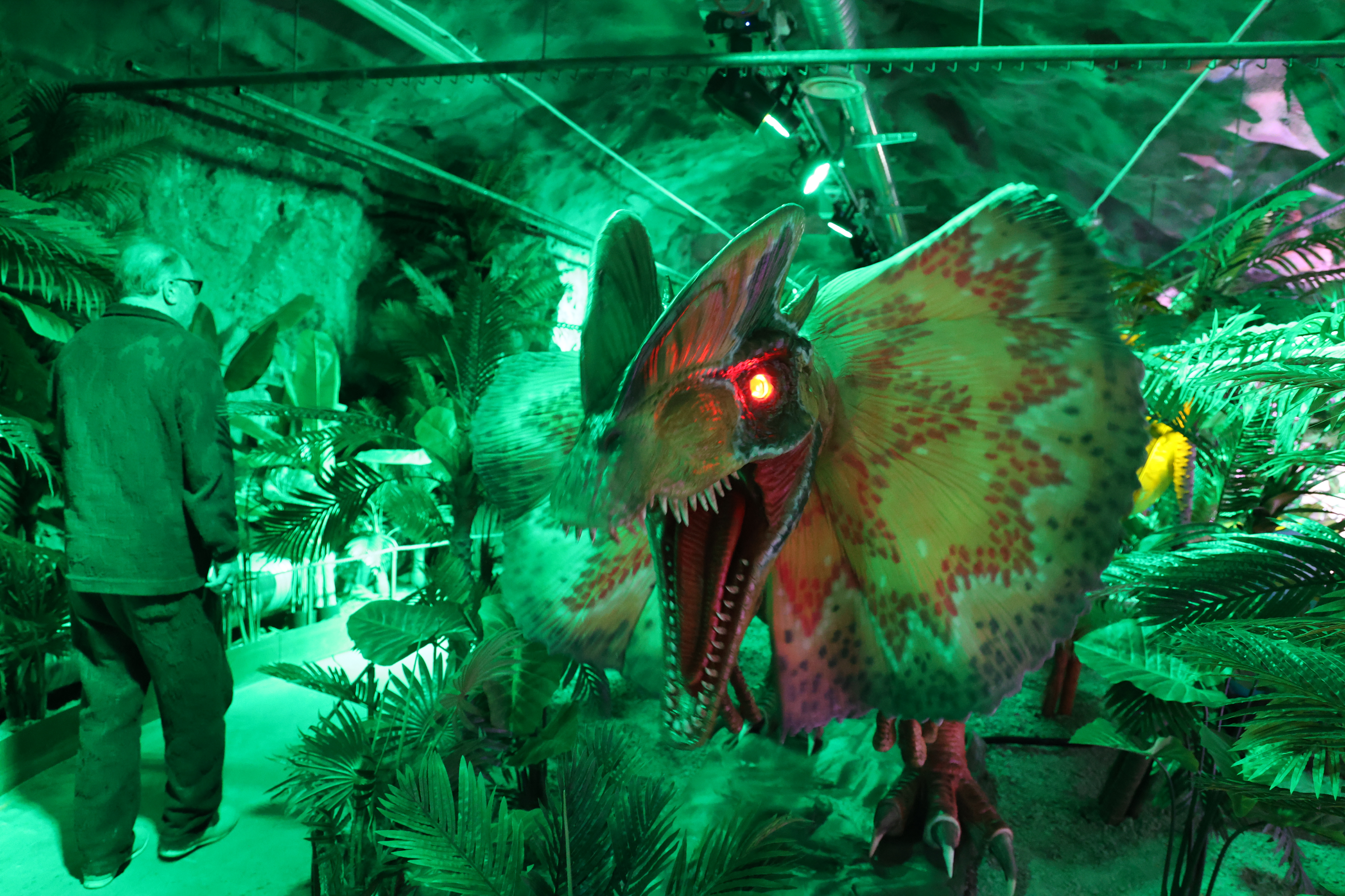 En av de 26 animatroniska dinosaurierna bland uppbyggd växtlighet i DINOS Experience i Bergrummet på Skeppsholmen. Utställningen öppnar lagom till höstlovet och kombinerar rörliga figurer med ljud, ljus och dofter.