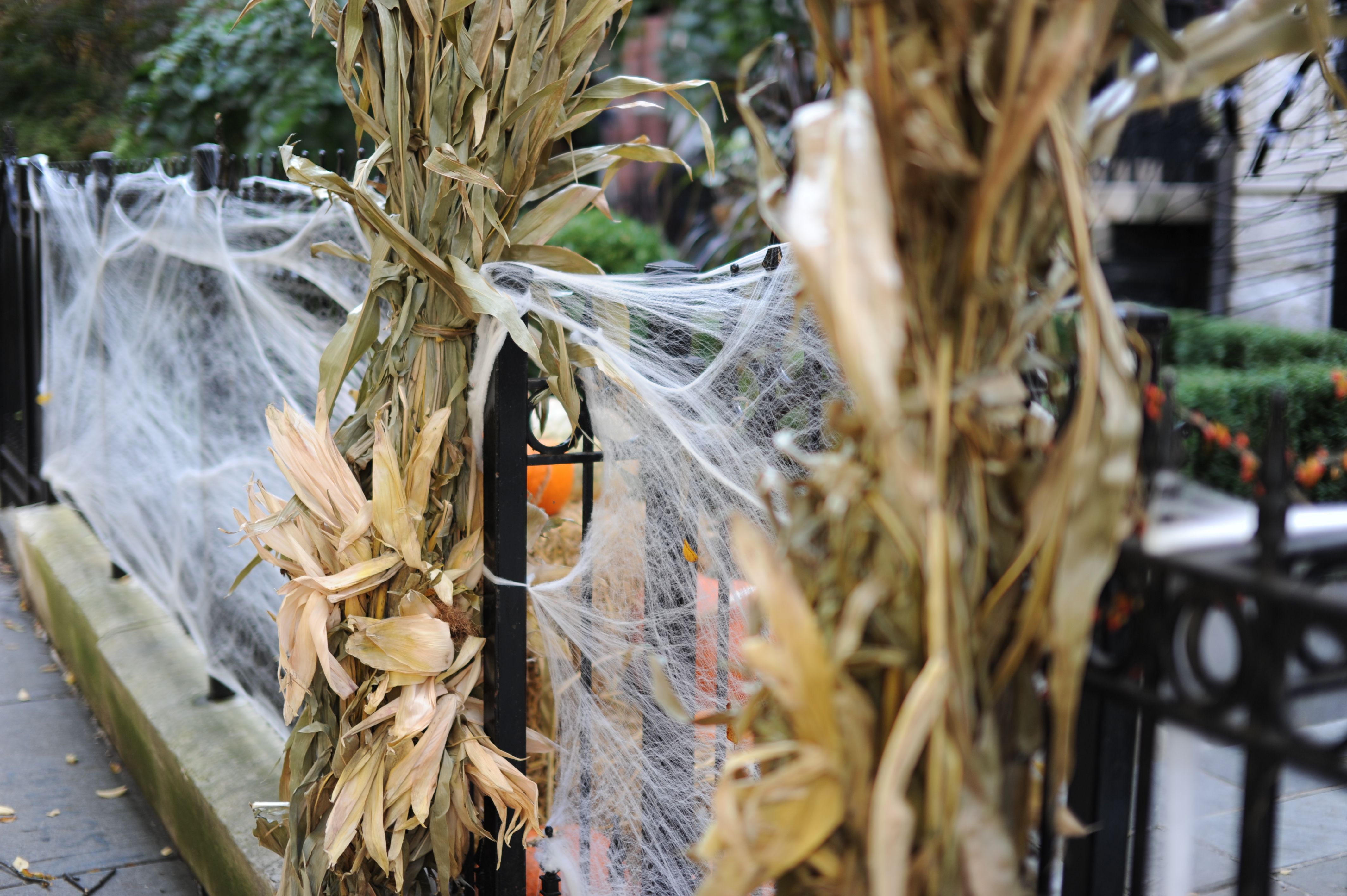 Konstgjorda spindelnät som används som Halloweenpynt kan bli livsfarliga fällor för fåglar och fladdermöss. Experter rekommenderar att undvika elastiska nät utomhus.